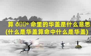 算 🐺 命里的华盖是什么意思(什么是华盖算命中什么是华盖)